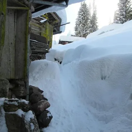 Chalet Pa Maurar Sauris * Sauris di Sopra